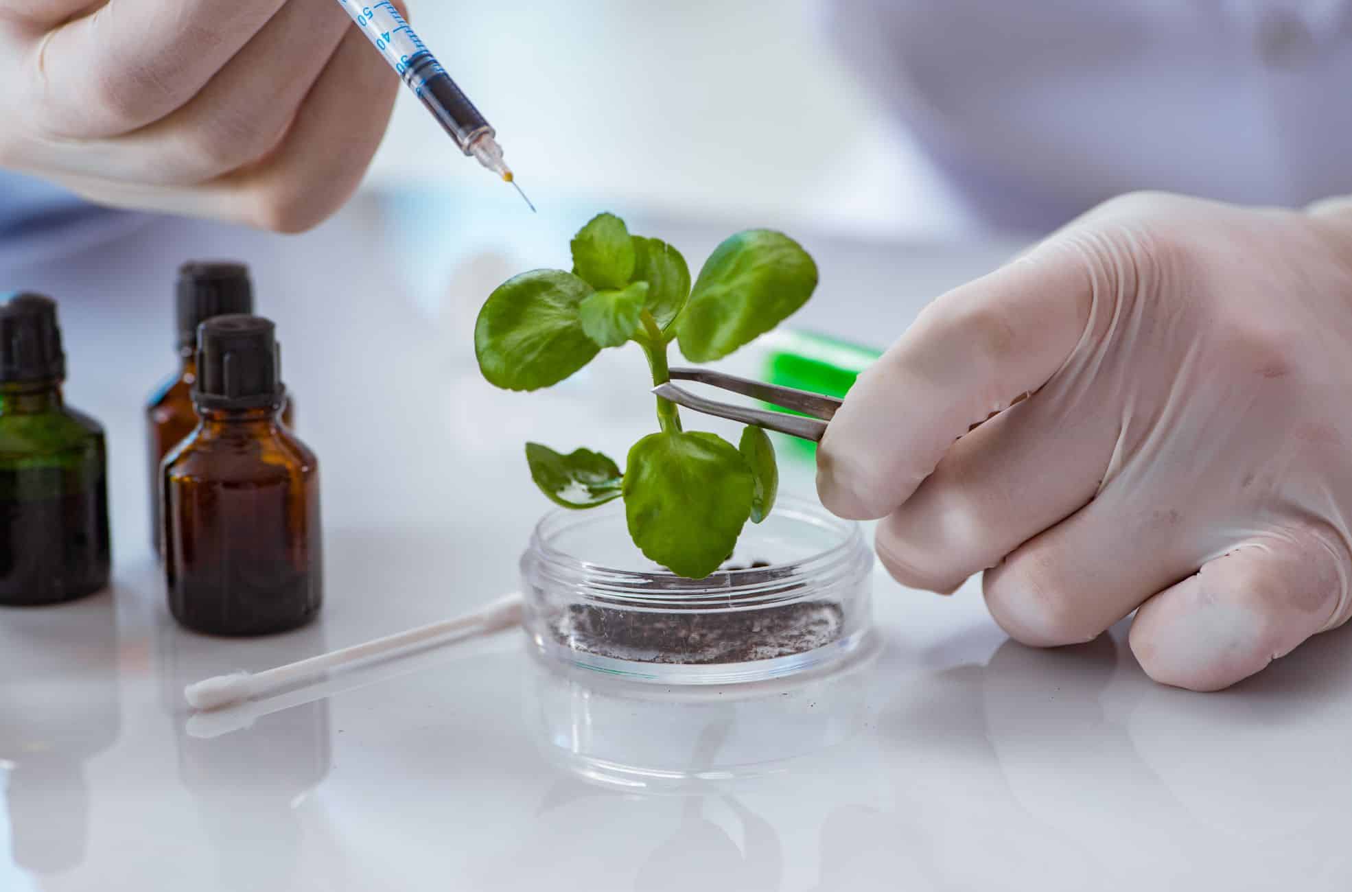 The Biotechnology Market In The UAE